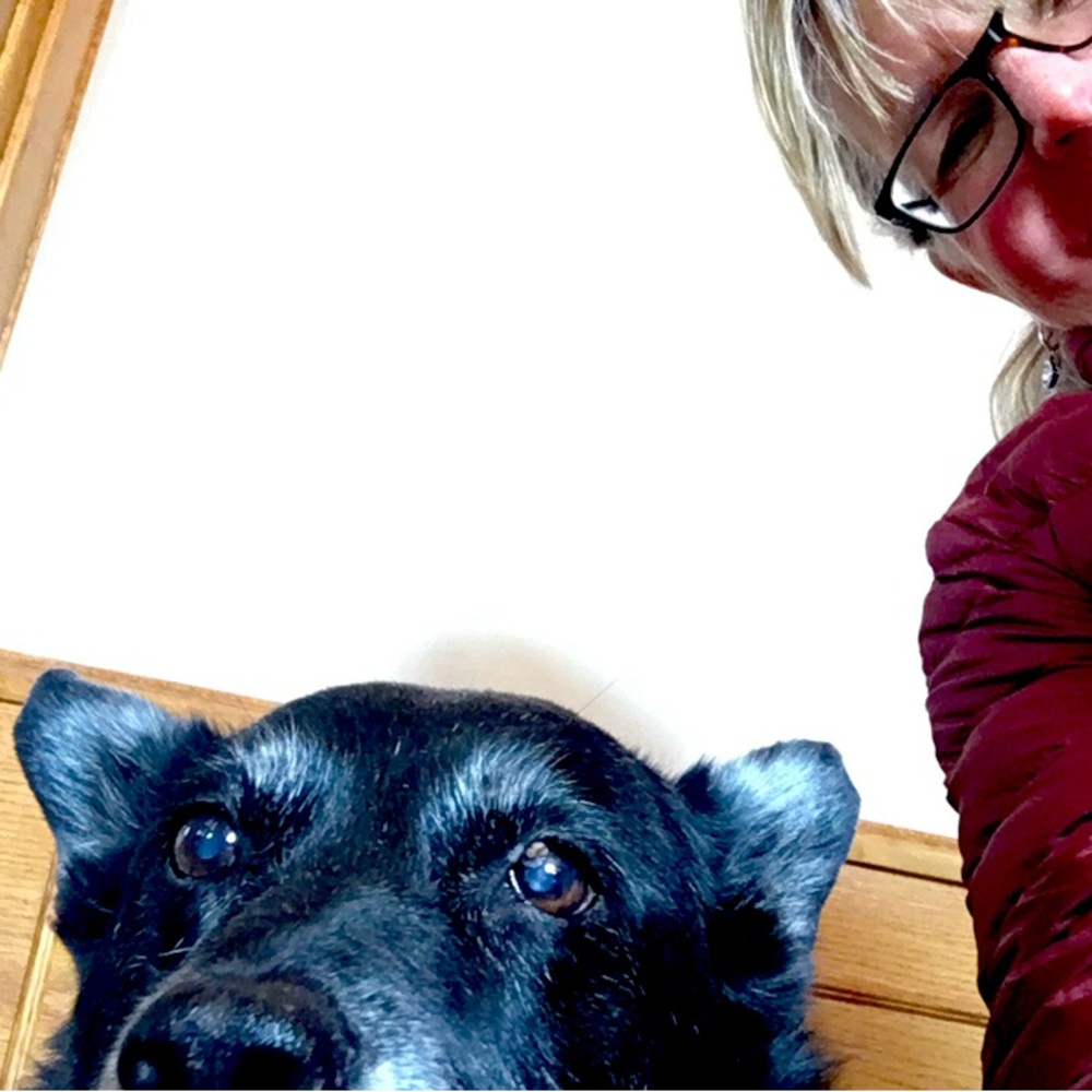 Meet your Posher, Liz